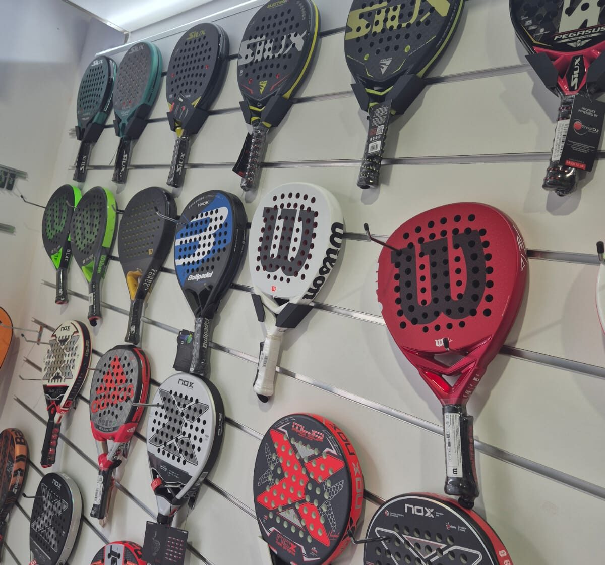 IMG-20240828-WA0010 IMG-20240828-WA0010